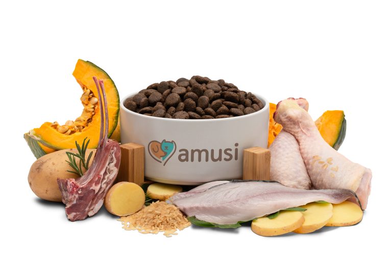 Amusi